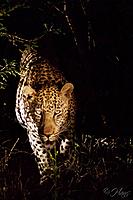 Click image for larger version

Name:	IMG_8447.jpg
Views:	112
Size:	472.2 KB
ID:	483964