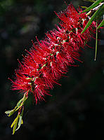 20220926_Garden_0003.jpg