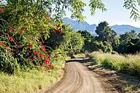 Click image for larger version

Name:	24051887.jpg
Views:	145
Size:	239.7 KB
ID:	508572