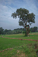 Click image for larger version

Name:	24124065.jpg
Views:	40
Size:	224.9 KB
ID:	510790